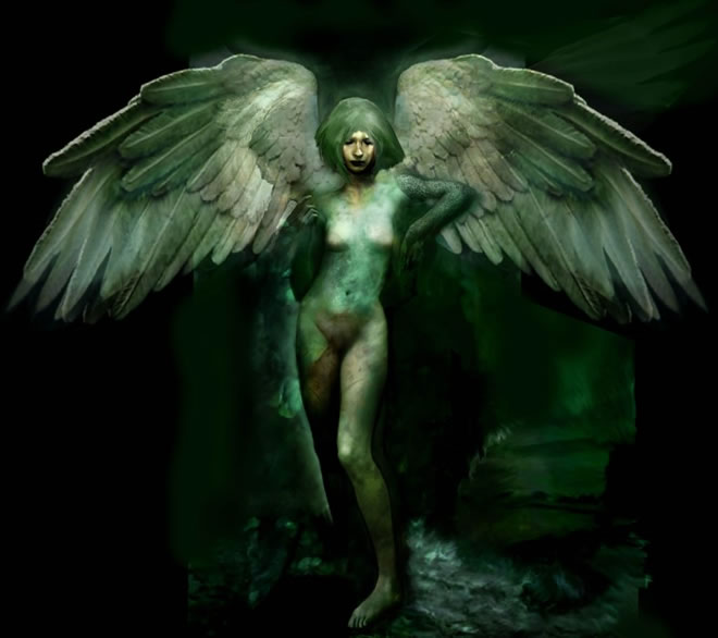 art illustrations by Christopher Shy
